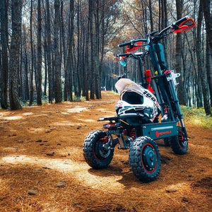 Fasuer Monster three wheel 6000w electric scooter